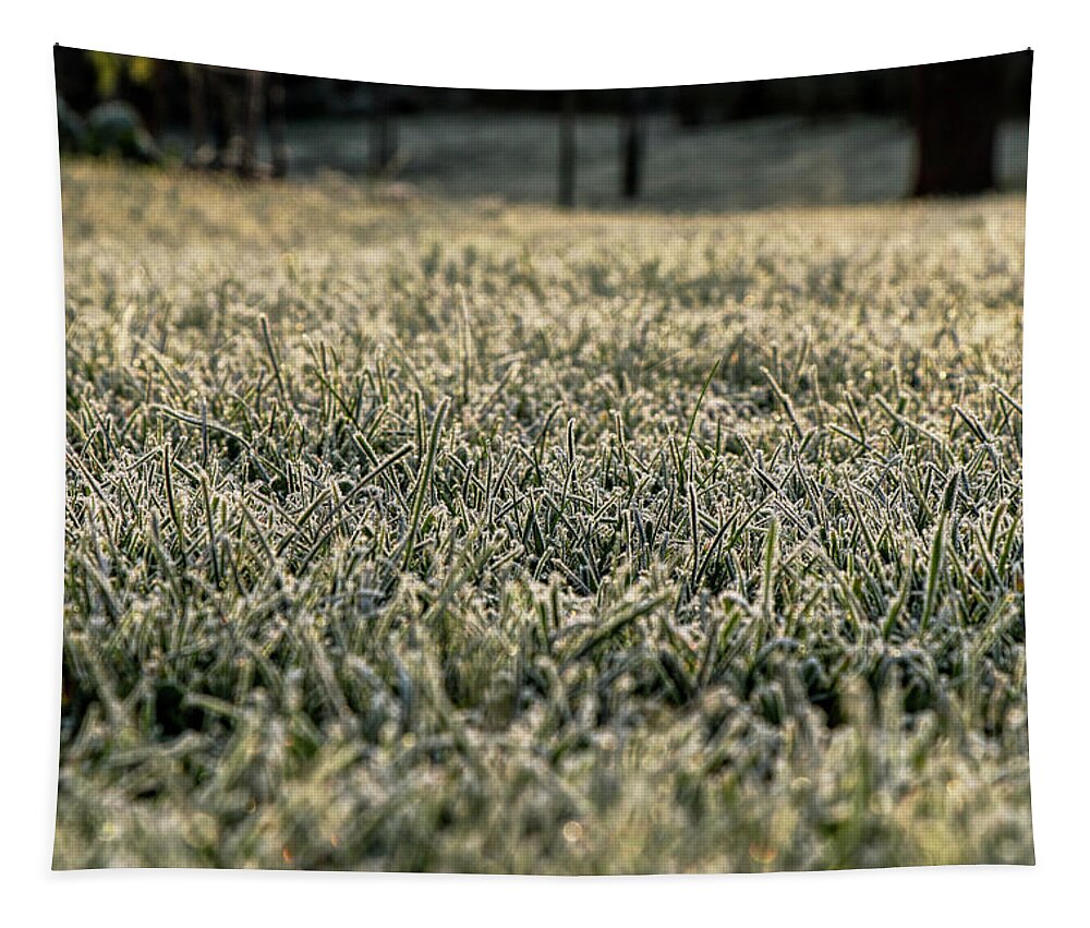 Environment Tapestry featuring the photograph Frozen green grass by Vaclav Sonnek
