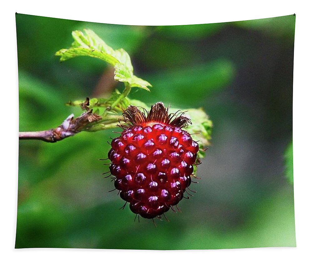 Alone Tapestry featuring the photograph A Berry Red Berry by David Desautel