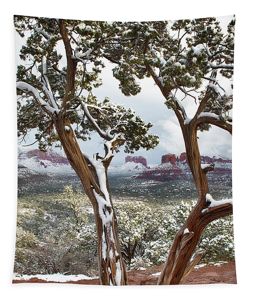 Snow Tapestry featuring the photograph A Birds Eye View 7856 by Tom Kelly