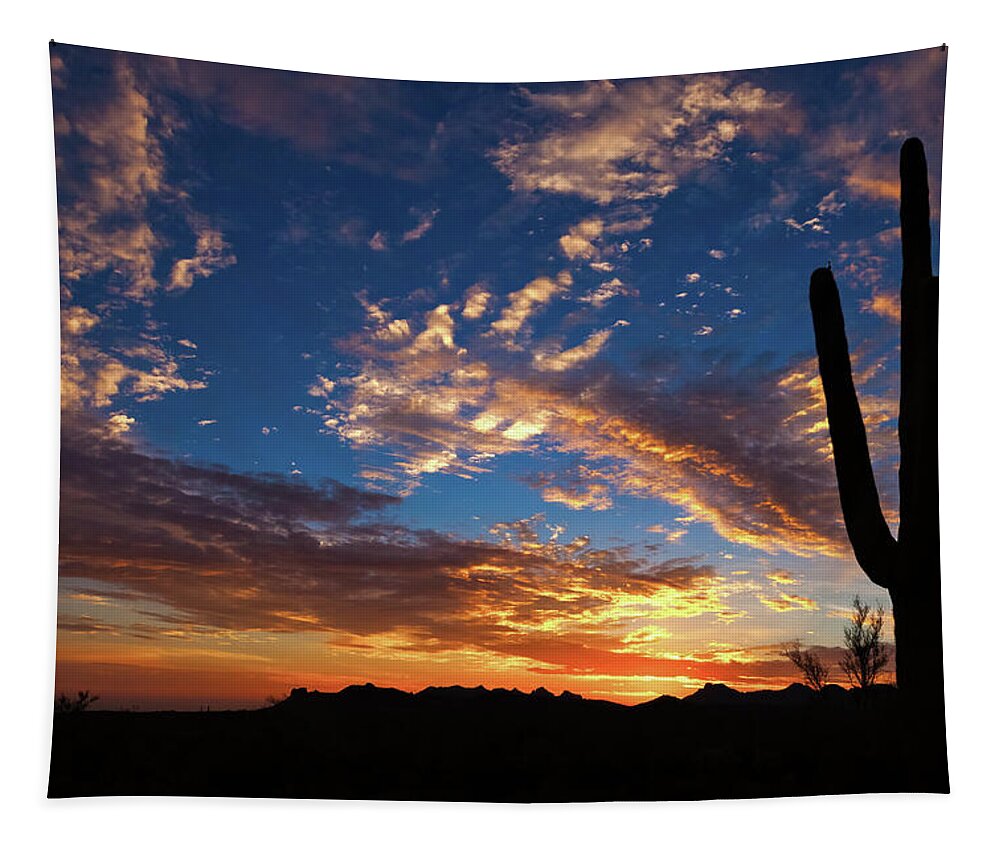 American Southwest Tapestry featuring the photograph A Blanket of Many Colors by Rick Furmanek