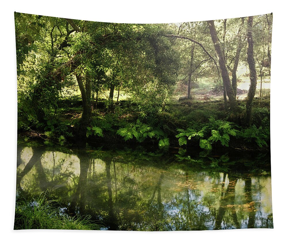 River Tapestry featuring the photograph A Calzada River Beach 1 by Micah Offman