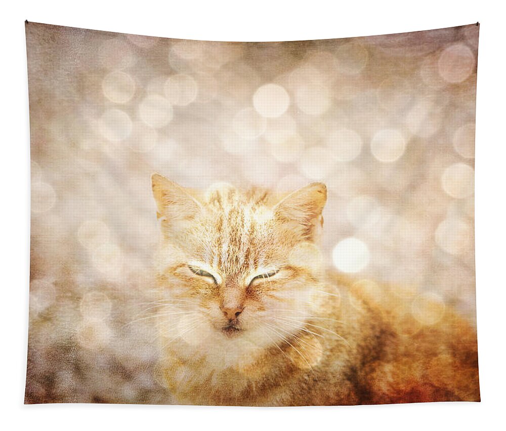 Cat Tapestry featuring the photograph A cat dream by Yasmina Baggili