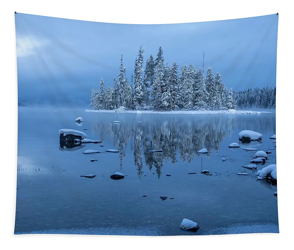 A Chilling Winter Morning Tapestry featuring the photograph A Chilling Winter Morning by Lynn Hopwood