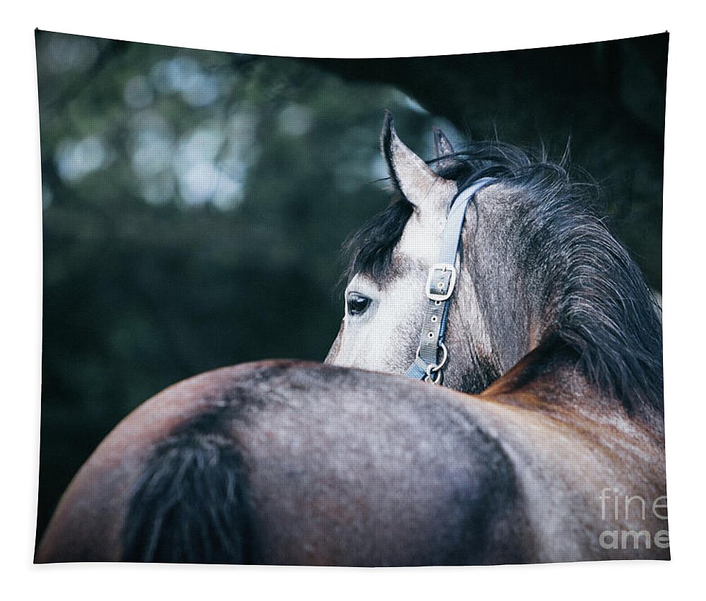 Horse Tapestry featuring the photograph A close-up portrait of horse profile in nature by Dimitar Hristov