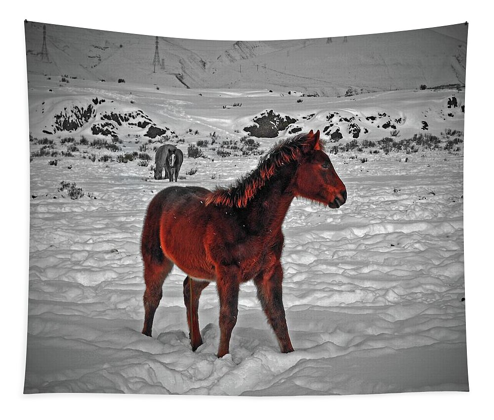 Blurred Tapestry featuring the digital art A Colts First Winter by Fred Loring