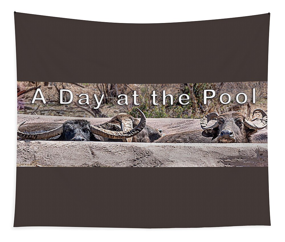  Tapestry featuring the photograph A Day at the Pool by Al Judge