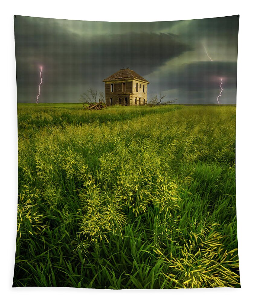 Lightning Tapestry featuring the photograph A Different World by Aaron J Groen