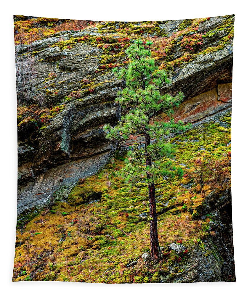 Landscape Tapestry featuring the photograph A Firm Foundation by Pamela Dunn-Parrish
