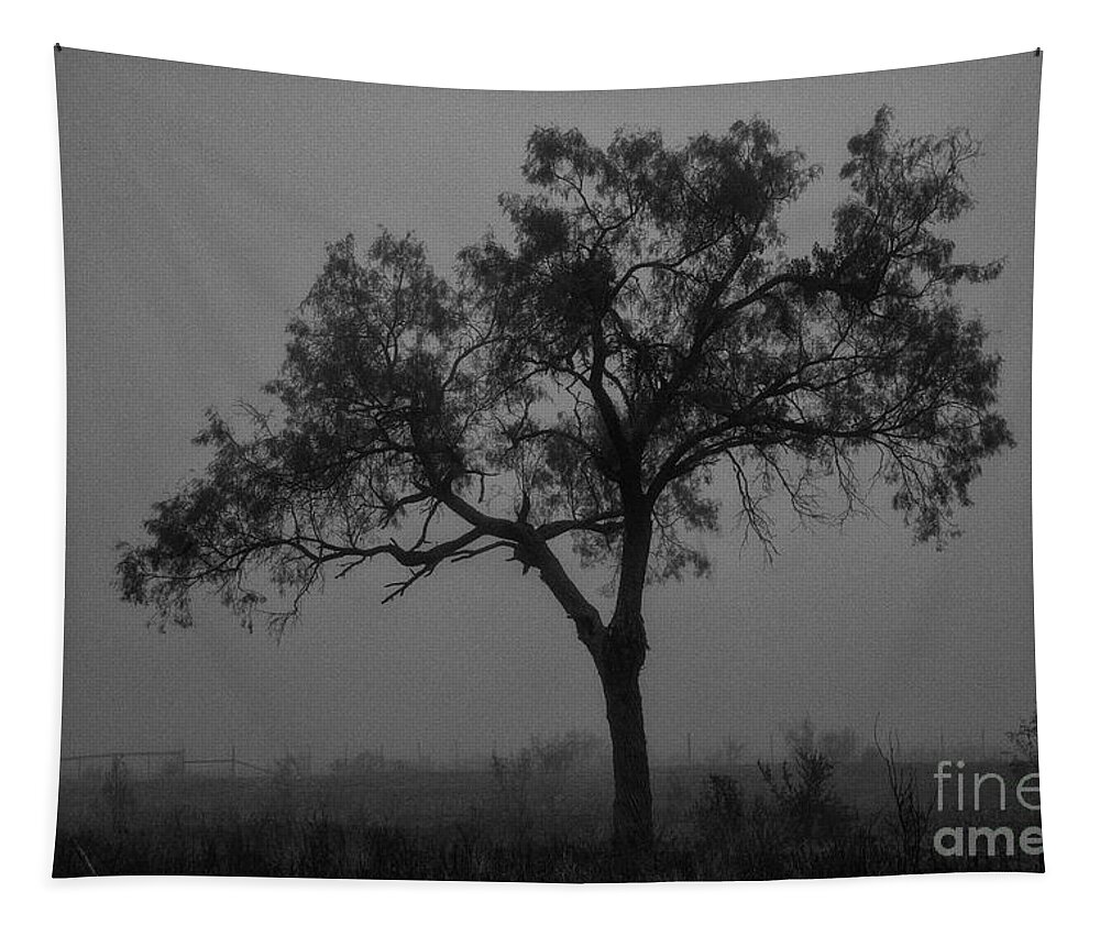 Del Mar Ranch Tapestry featuring the photograph A Foggy Morning Stroll on Del Mar Ranch 2 by Bob Phillips