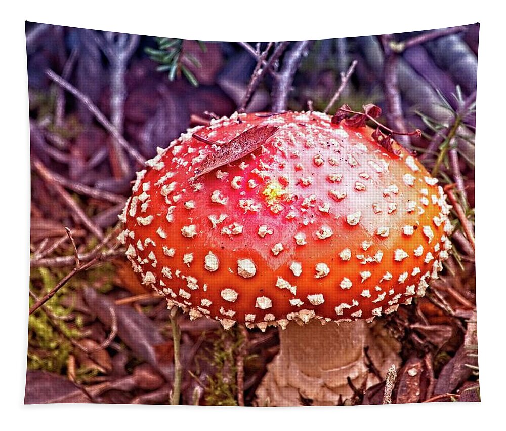 Amanita Muscaria Tapestry featuring the photograph A Fungus Among Us by David Desautel
