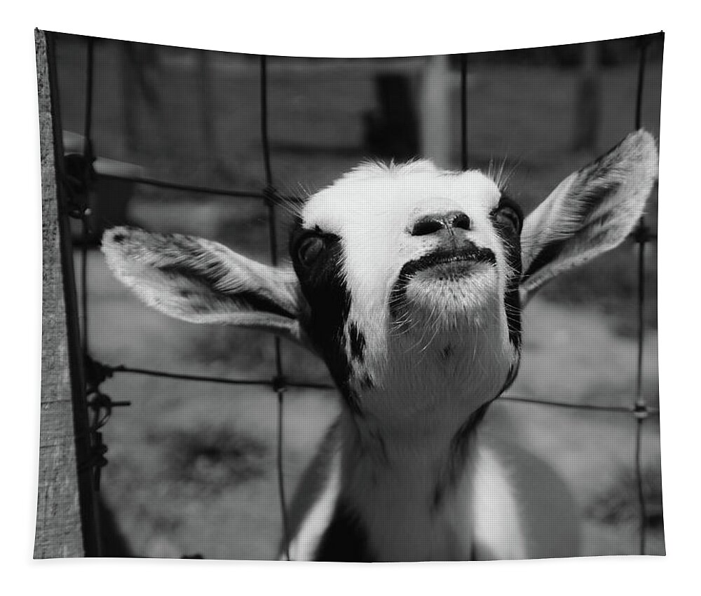 Goat Tapestry featuring the photograph A Goat's Smile by Demetrai Johnson