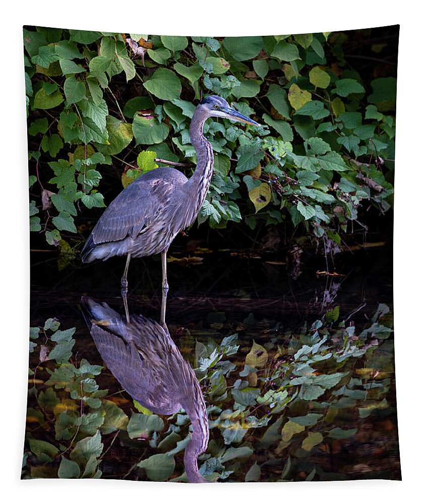 Bronx River Tapestry featuring the photograph A Great Blue Heron and Its reflection in the Bronx River by Kevin Suttlehan