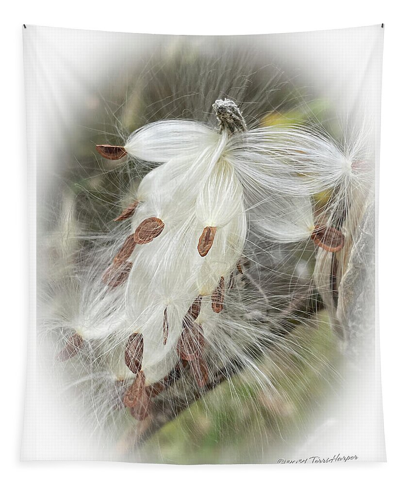Milkweed Tapestry featuring the photograph A Horse Named Milkweed by Terri Harper