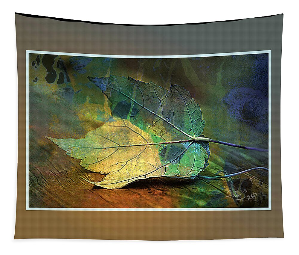 Leaf Tapestry featuring the photograph A Leaf Of Many Colors by Rene Crystal