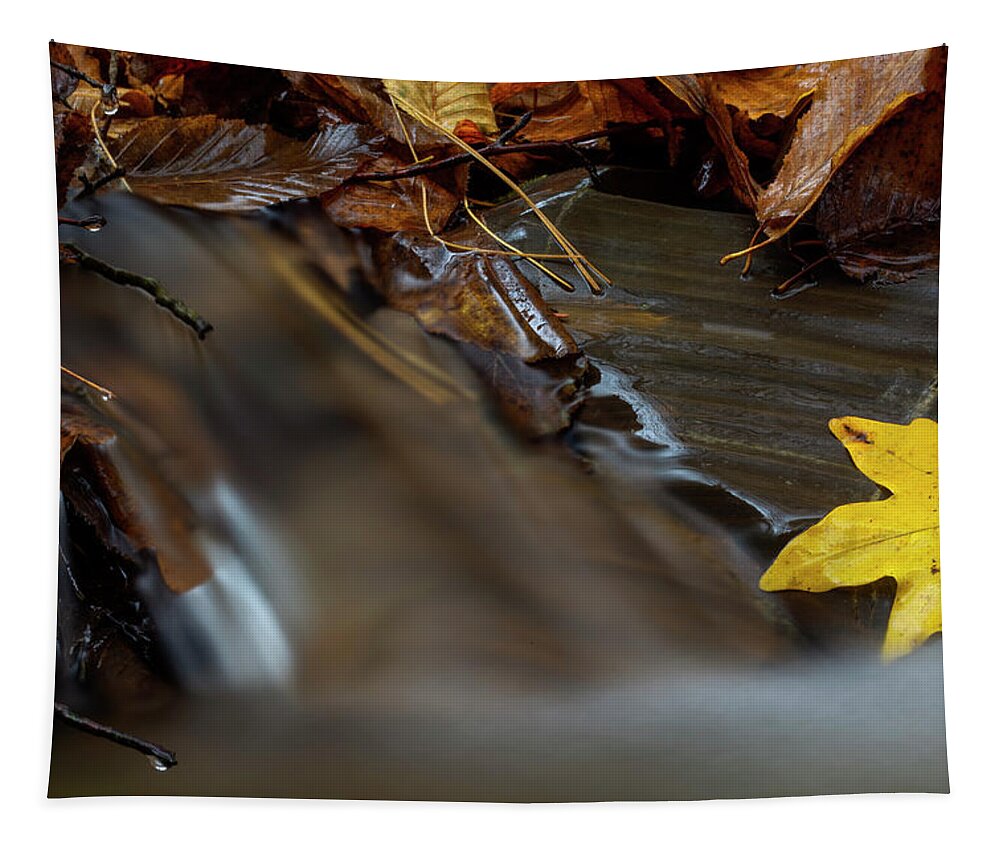Water Tapestry featuring the photograph A little cascade in the Carpathian Mountains in fall season by Sebastian Radu