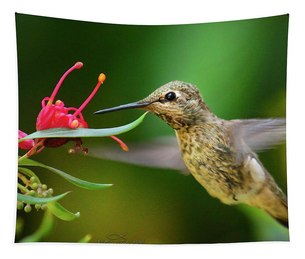 Wildlife Tapestry featuring the photograph A Little Tickle by Brian Tada