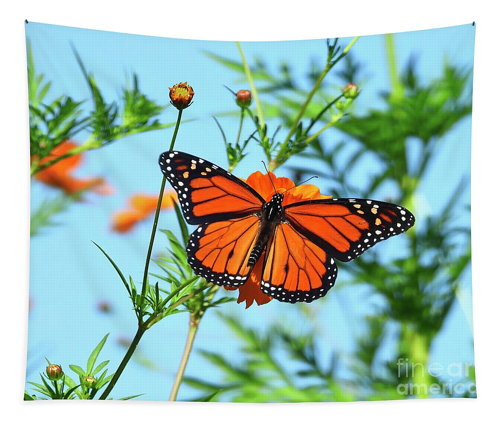 Monarch Tapestry featuring the photograph A Monarch Butterfly by Scott Cameron