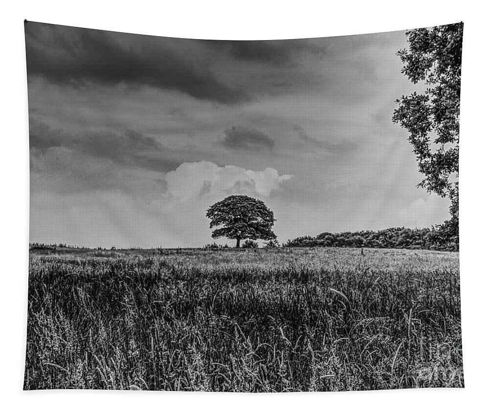 Manchester Tapestry featuring the photograph A monochrome tree taken in Hopwood Woods Nature Reserve Manchester UK by Pics By Tony