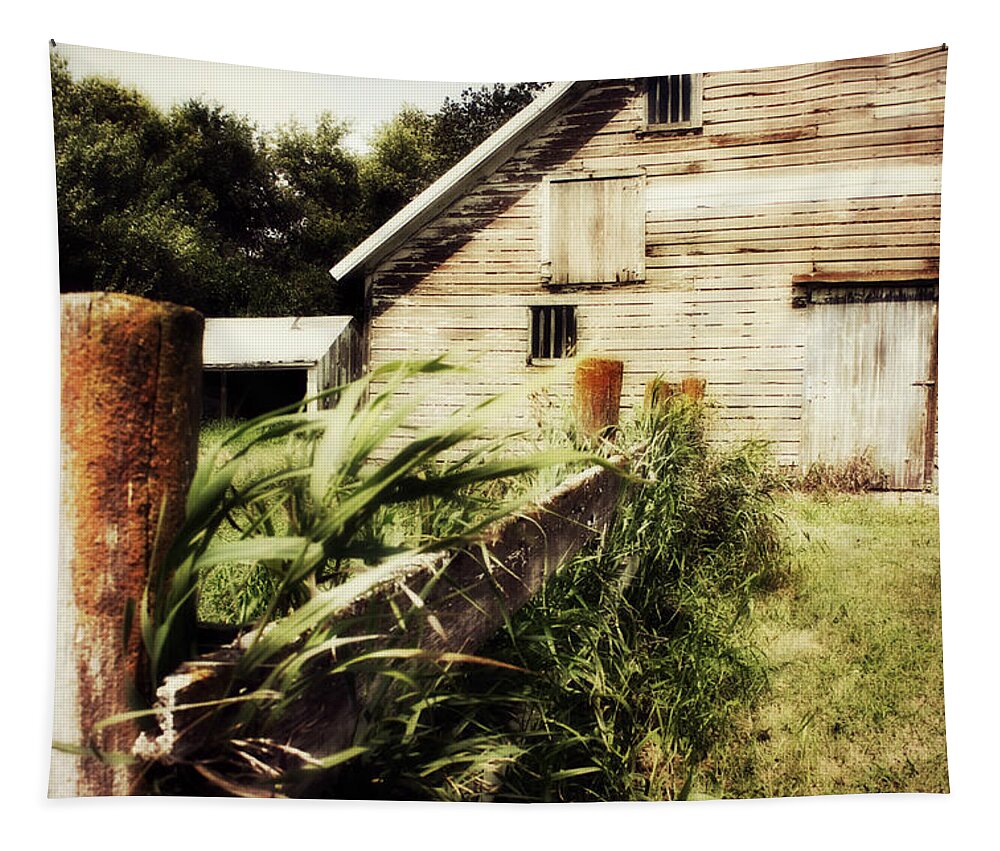 Barn Tapestry featuring the photograph A New Angle by Julie Hamilton
