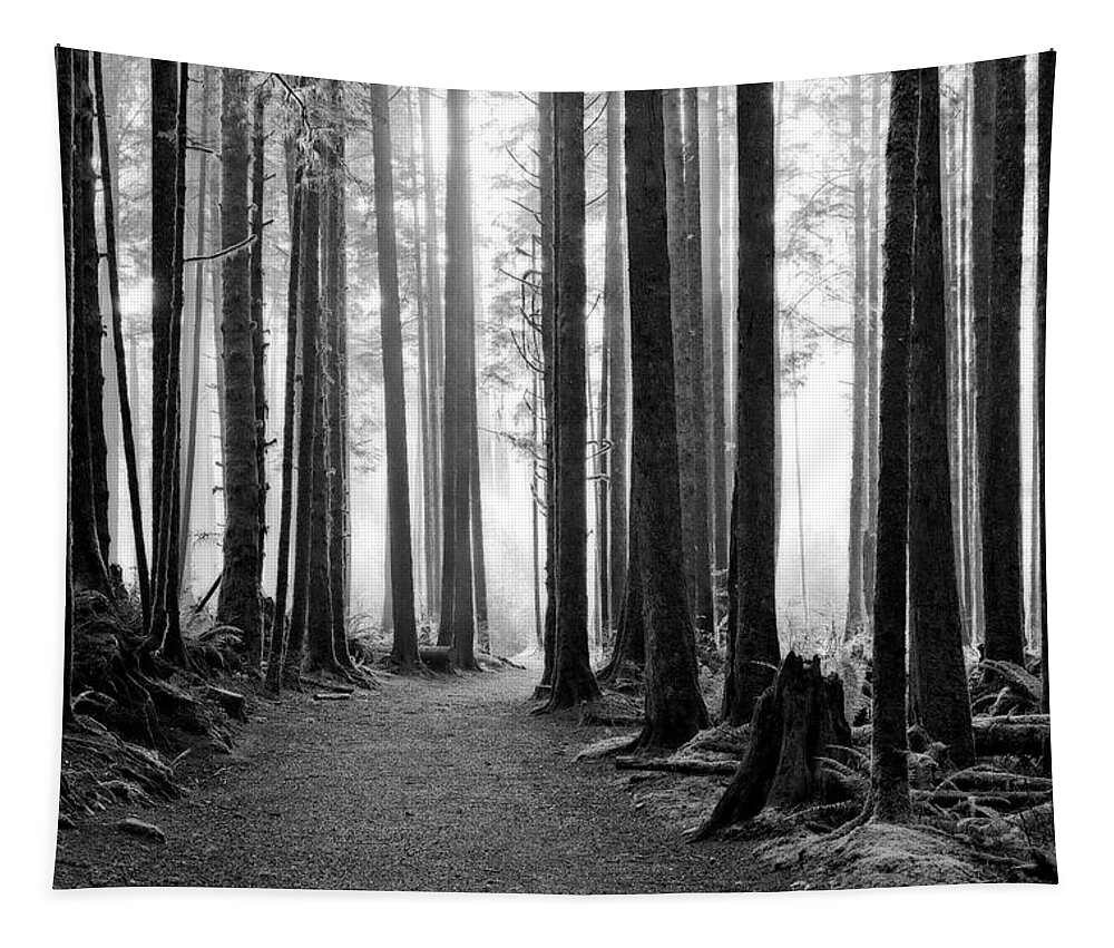 Landscape Tapestry featuring the photograph A Path Through The Old Growth by Allan Van Gasbeck
