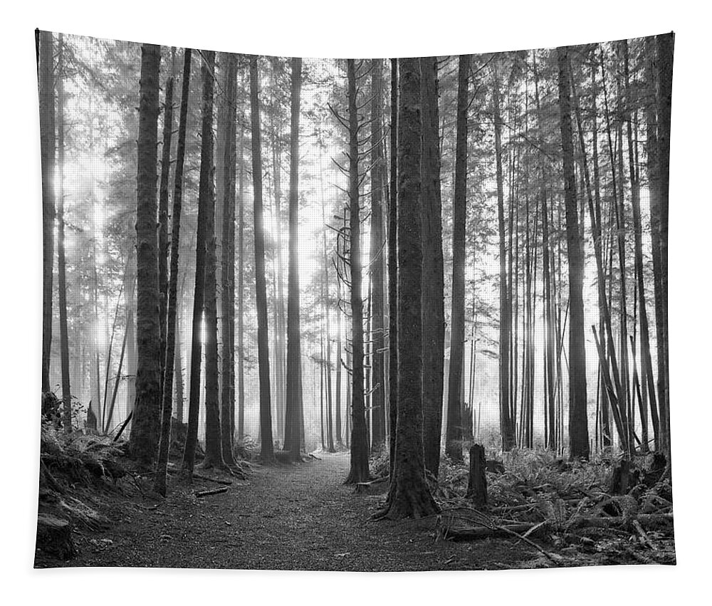 Landscape Tapestry featuring the photograph A Path Through The Old Growth Black and White by Allan Van Gasbeck