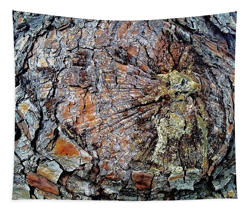 Tree Tapestry featuring the photograph A Pattern of Barking by Andrew Lawrence