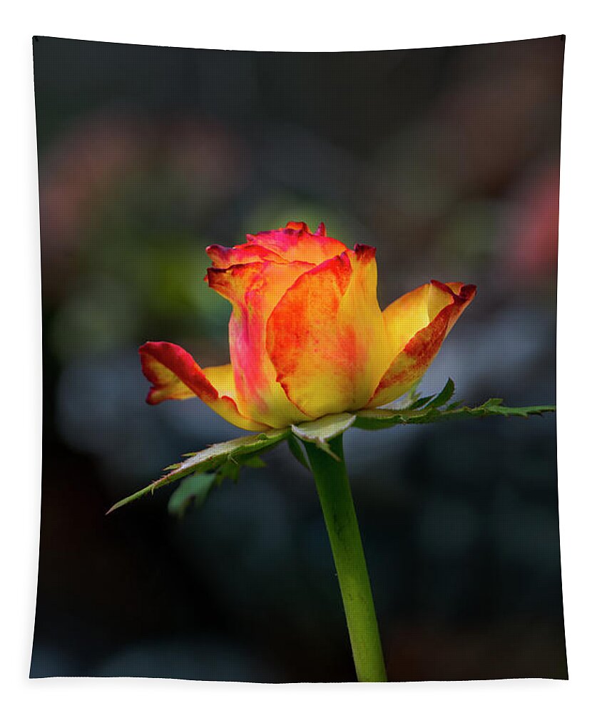 2215 Tapestry featuring the photograph A Perfect Rosebud by Al Bourassa