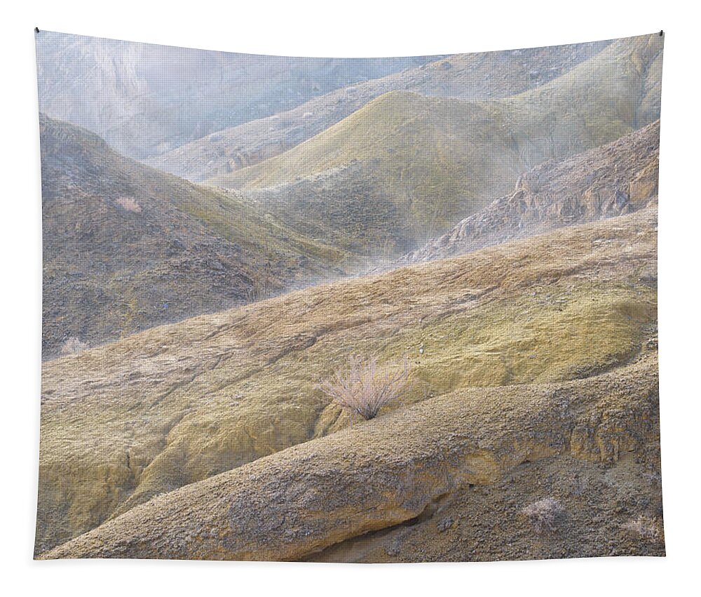 Desert Tapestry featuring the photograph A Poetic Gauze by Alexander Kunz