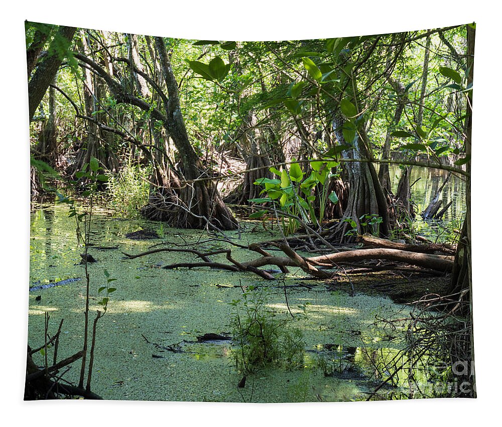 Pond Tapestry featuring the photograph A Pond at Corkscrew Swamp by L Bosco
