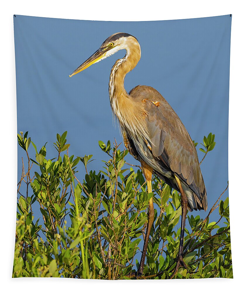 R5-2653 Tapestry featuring the photograph A Proud Heron by Gordon Elwell