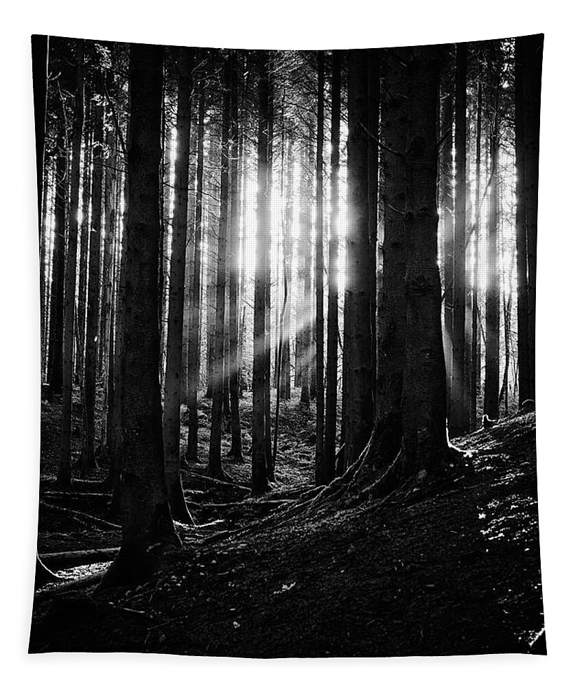 October2022 Tapestry featuring the photograph A ray of light, or two by Gavin Lewis
