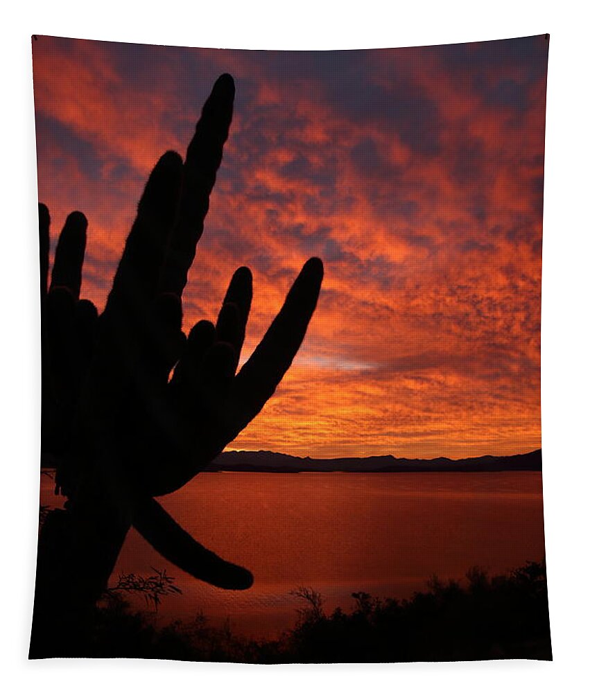 Sunrise Tapestry featuring the photograph A Saguaro Sunrise by Steve Wolfe