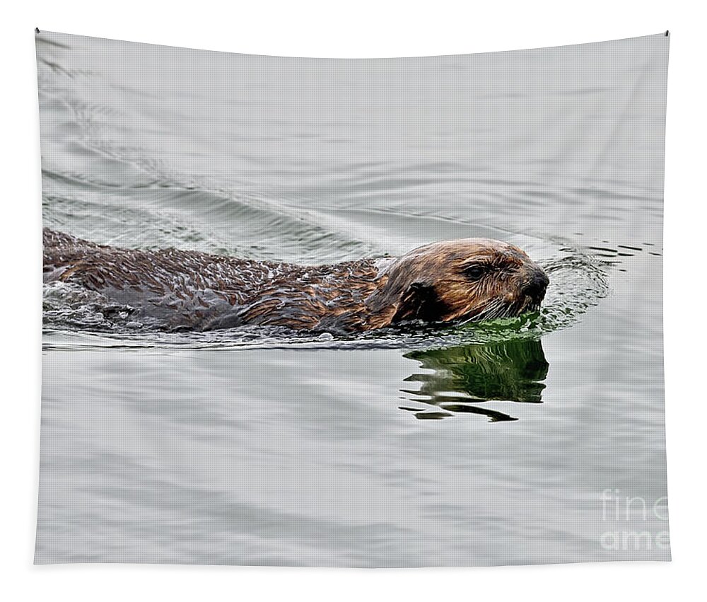 Sea Otter Tapestry featuring the photograph A Sea Otter swimming in Backwater by Amazing Action Photo Video