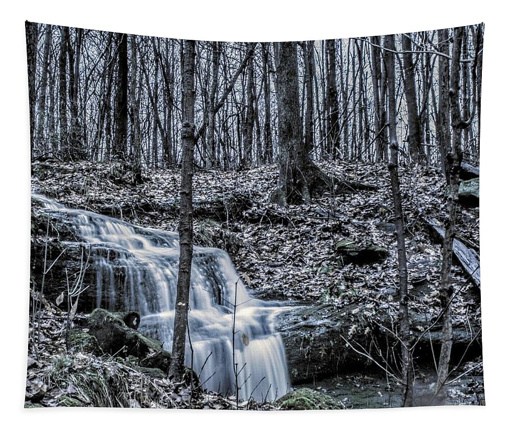  Tapestry featuring the photograph A Secret Falls in the Fall by Brad Nellis
