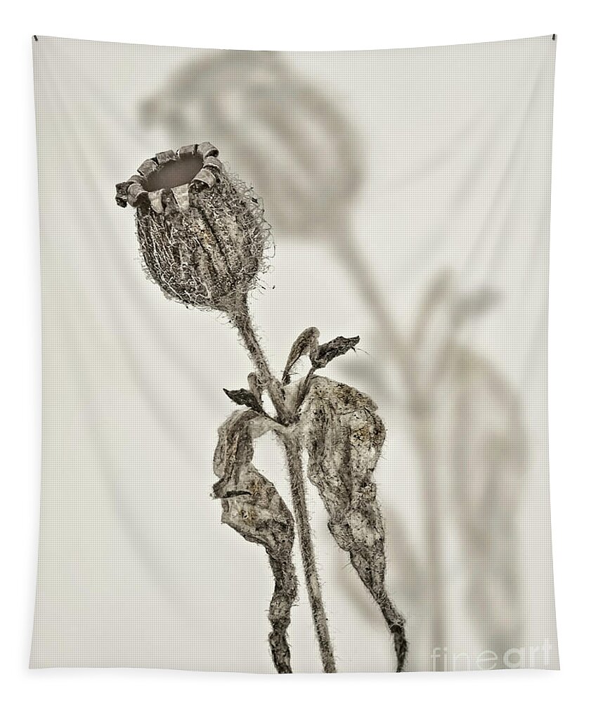 A Shade Tapestry featuring the photograph A Shade by Tatiana Bogracheva