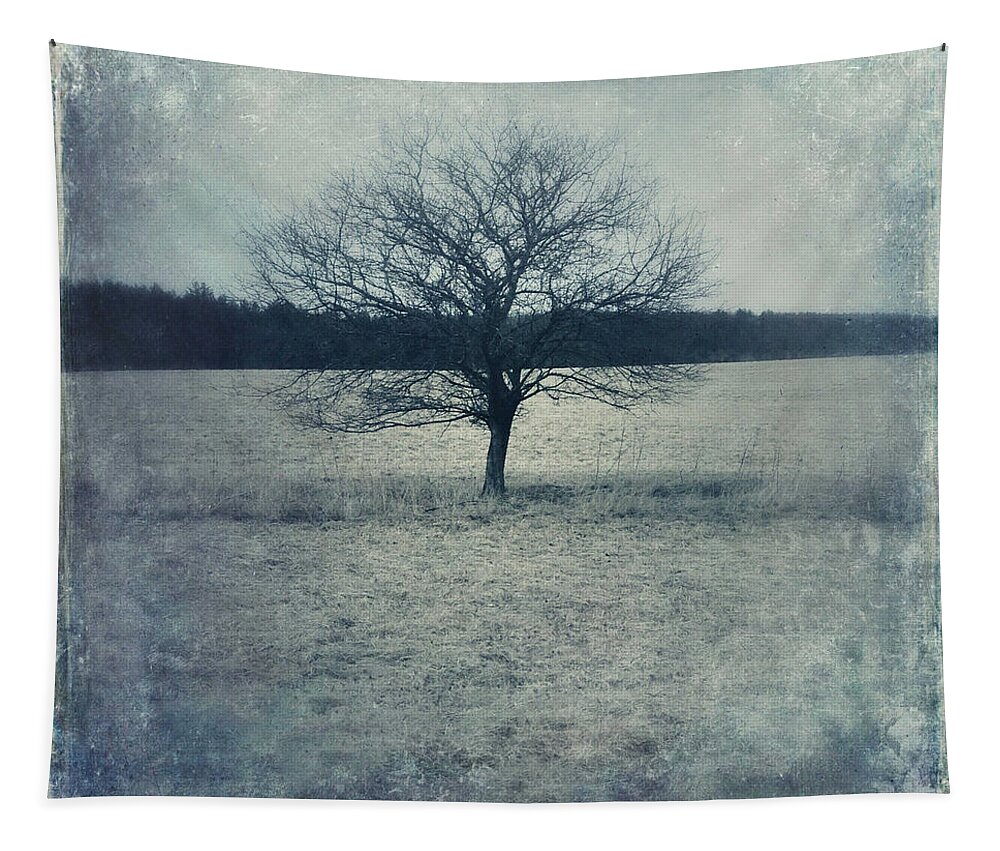 Tree Tapestry featuring the photograph A Single Tree by Joy Sussman by Joy Sussman