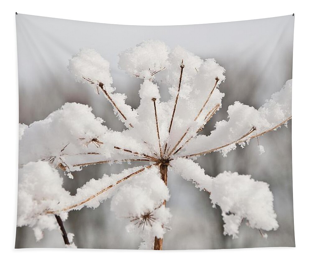 Snow Tapestry featuring the photograph A star of hope and love by Lieve Snellings