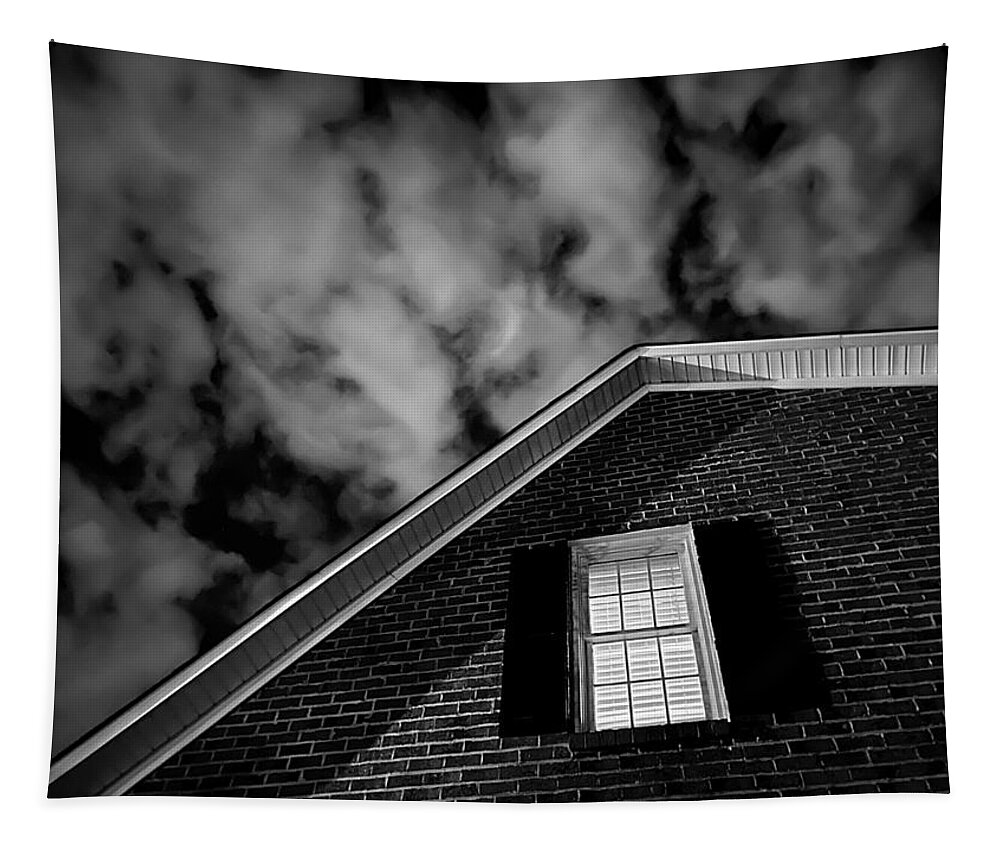 House Tapestry featuring the photograph A Strange Thursday Night at Home BW by Lee Darnell