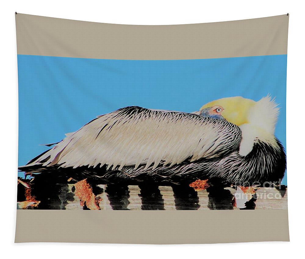 Pelican Tapestry featuring the photograph A Time to Rest by Joanne Carey