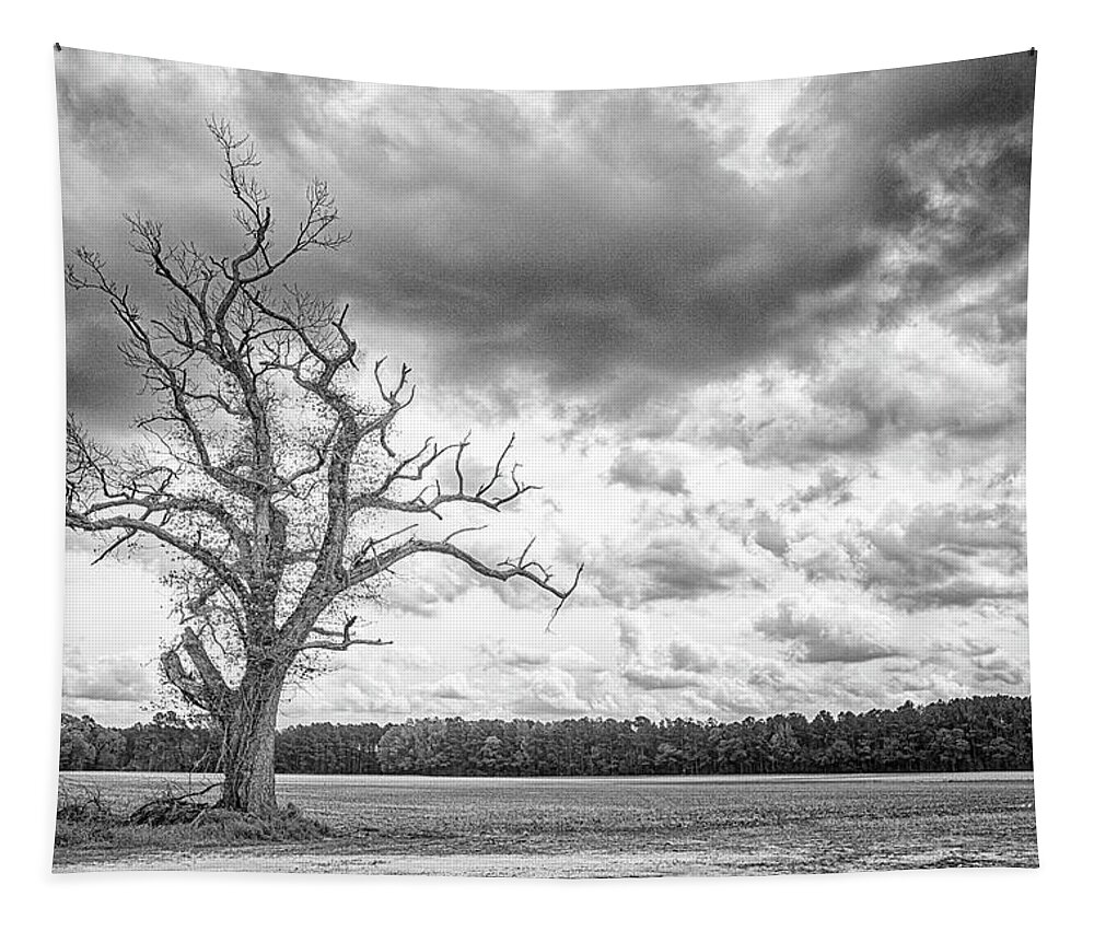 Tree Tapestry featuring the photograph A Tree With Great Character - Eastern North Carolina by Bob Decker