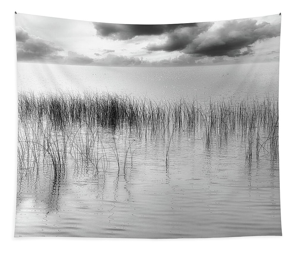 Black And White Photography Tapestry featuring the photograph A View to the States by Allan Van Gasbeck