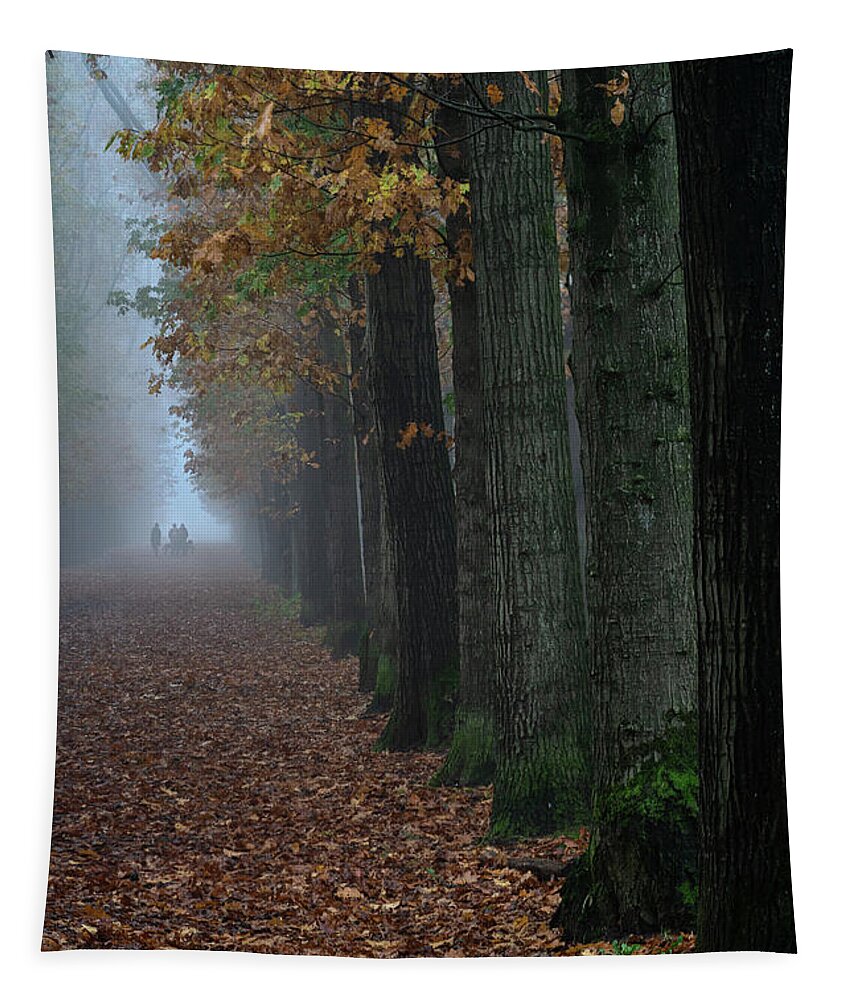 Mist Tapestry featuring the photograph A walk in the mist by Anges Van der Logt