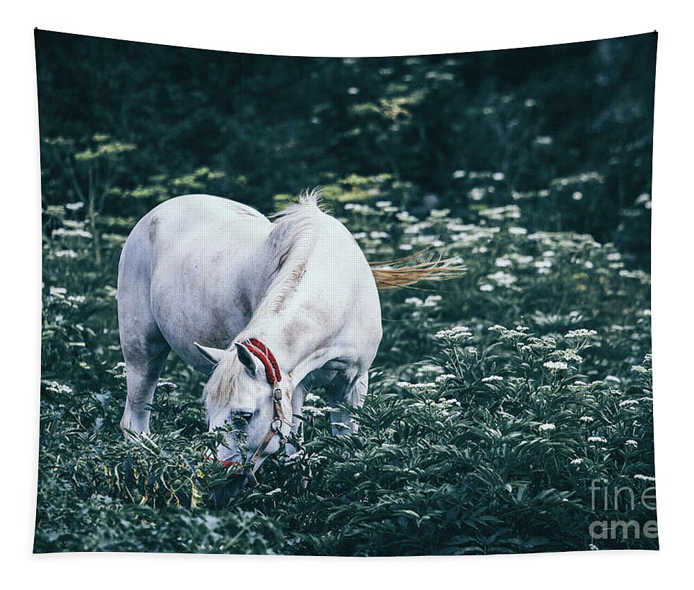 Horse Tapestry featuring the photograph A white horse grazes on a meadow II by Dimitar Hristov