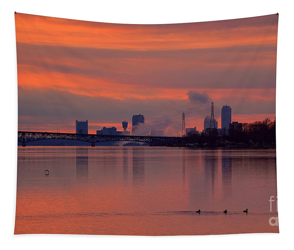 A Wild Life On The Water River Tapestry featuring the photograph A WildLife on the Upper Niagara by Tony Lee