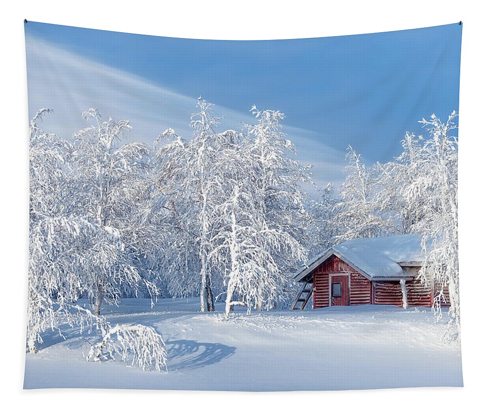 Winter Tapestry featuring the photograph A Winter's Dream Cabin by Thomas Kast