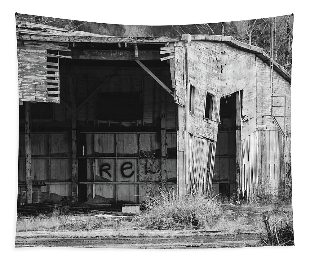 Abandoned Building Tapestry featuring the photograph Abandoned Building in Black and White by Catherine Avilez