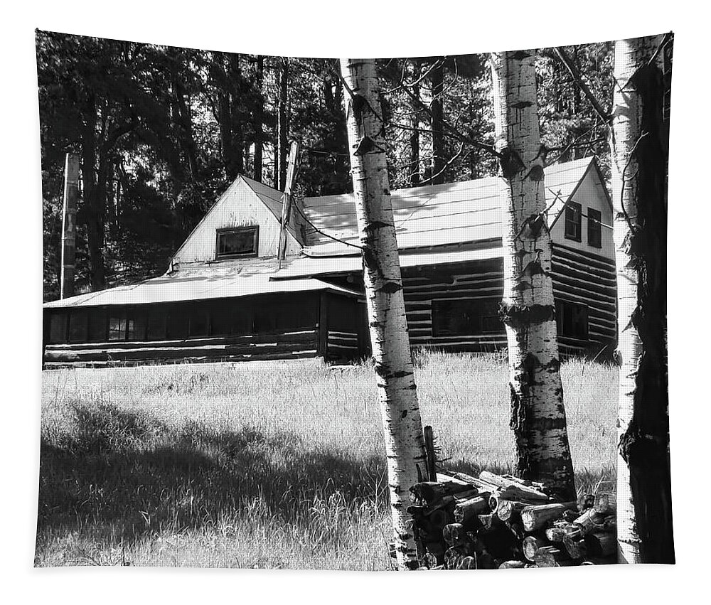Barn Tapestry featuring the photograph Abandoned Cabin in Black and White by Cathy Anderson