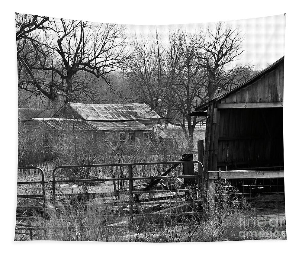 Iowa Tapestry featuring the photograph Abandoned Farm by Kirt Tisdale