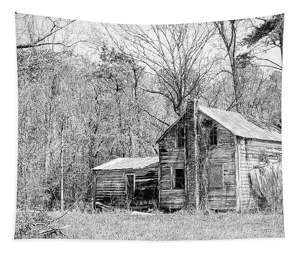 Abandoned Tapestry featuring the photograph Abandoned Home in Pamlico County North Carolina by Bob Decker