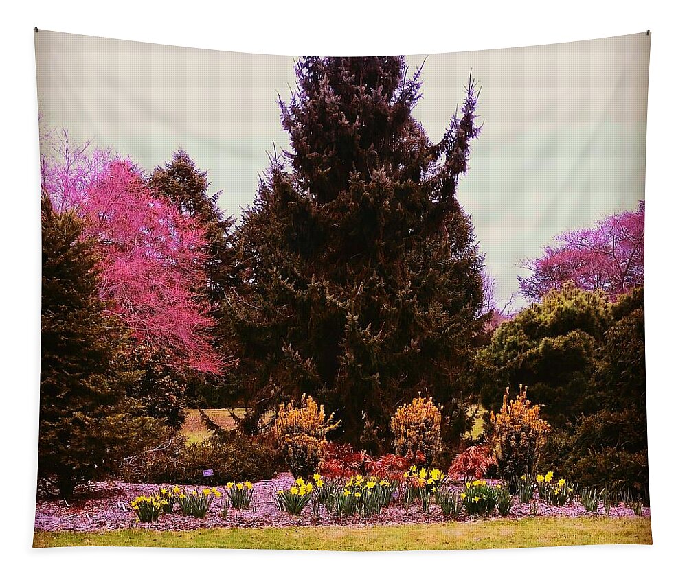 Arboretum Colors Tapestry featuring the photograph Arboretum in Spring by Stacie Siemsen